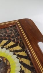 Vintage δίσκος με αληθινά φτερά πεταλούδας Morpho (Βραζιλία) - Image 4