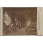 Vintage Καρτ Ποστάλ "RAYON DE SOLEIL SOUS LES TILLEULS" G. Ferry (αρχές 20ού αιώνα)