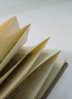 "Hölderlin - Παραλειπόμενα στη μορφὴ και το ἔργο του" Δρ. Νικολάου Γ. Ξένου (1979) - Image 2