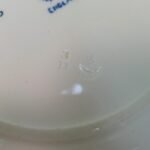 Κινέζικα είδη σερβίτσιου αντίκες από πορσελάνη (LOT 6 τεμαχίων) - Image 7