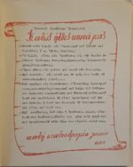 Οδηγός νέου ασφαλιστού - Image 2