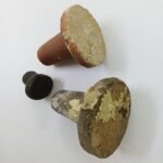 Vintage συλλεκτικά πώματα φιαλών από φυσικά υλικά (LOT 3 τεμαχίων) - Image 2