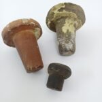Vintage συλλεκτικά πώματα φιαλών από φυσικά υλικά (LOT 3 τεμαχίων) - Image 3