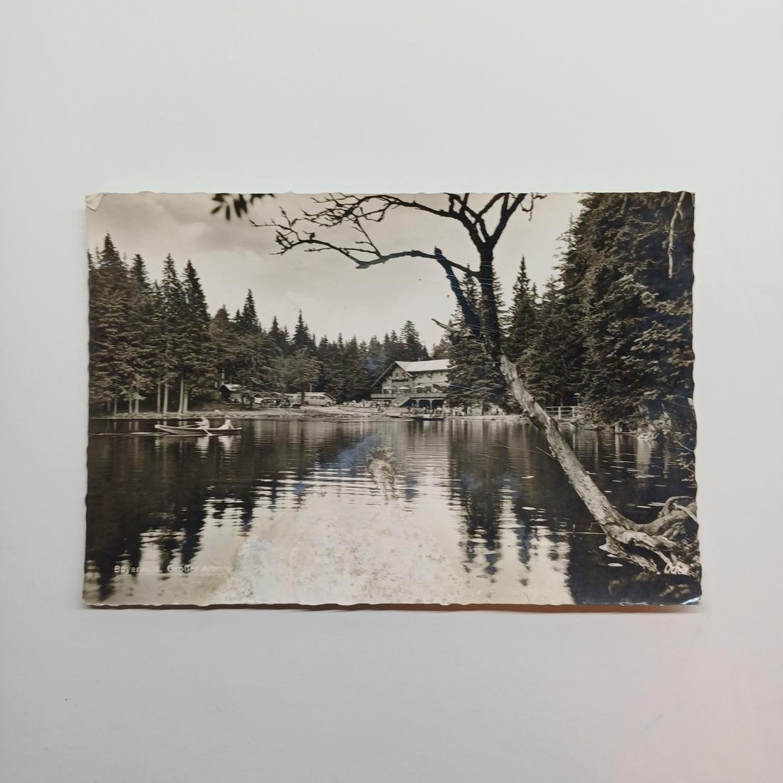 DB2-111-A-20251217_203121-1100x1100 Vintage Καρτ Ποστάλ "Bayerischer Wald" (δεύτερο μισό 20ού αιώνα) - Image 1