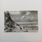 Vintage Καρτ Ποστάλ "Texel-De Slufter" (μέσα 20ού αιώνα)