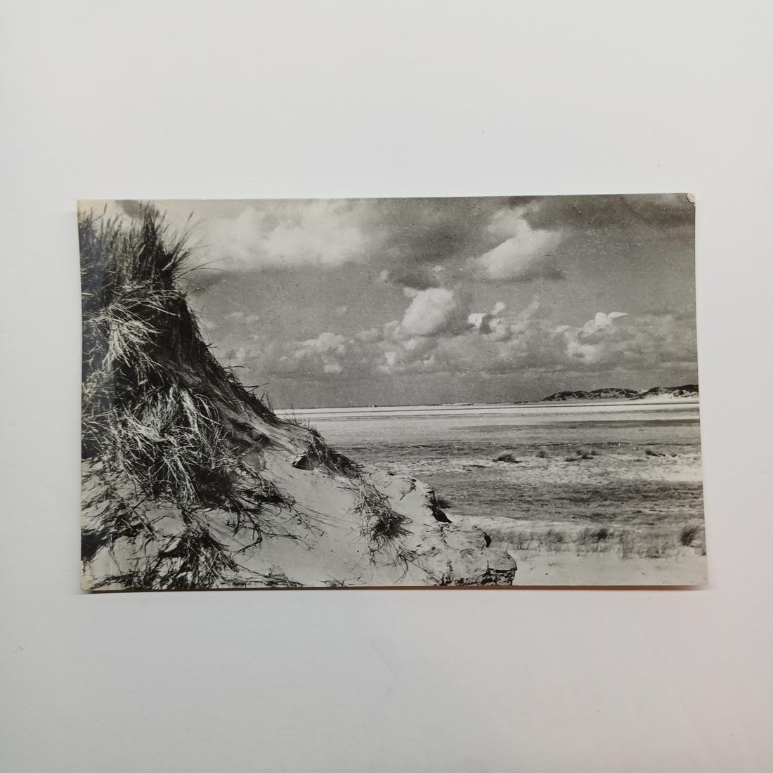 DB2-95-A-20251217_194711-1100x1100 Vintage Καρτ Ποστάλ "Texel-De Slufter" (μέσα 20ού αιώνα) - Image 1