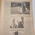 Εφημερίδα "La Domenica del Corriere" Έτος XXXI, Αριθ. 5 - 3 Φεβρουαρίου 1929 - Image 2