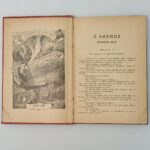 "Ο Λαχνός Υπ' Αριθμόν 9672" Ιούλιος Βερν - Image 3