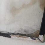 Αυθεντική ελληνική σχολική λιθόγραφη αφίσα "Χαίρε, ω χαίρε Ελευθερία", Εκδόσεις Άγκυρα (δεκαετία 1970) - Image 4